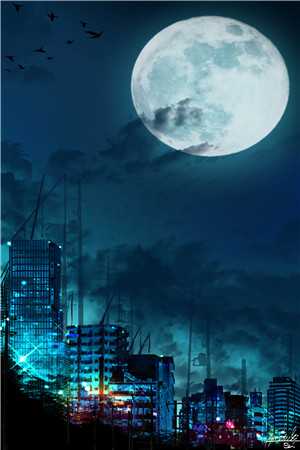 总裁不好了,太太她又在拆家免费全本小说- 程曼曼柯梁渊在线阅读