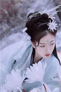 嫡女惊华：王妃暴躁不好惹