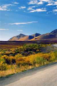 怀双胎,我孕吐不停吓坏高冷机长