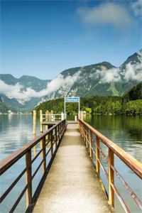 重生八次!我从娘胎开始宫斗