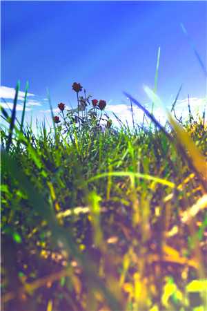 竹马不及天降:备胎幡然醒悟