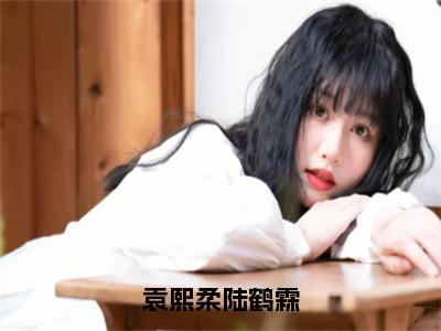 袁熙柔陆鹤霖小说（袁熙柔陆鹤霖）全文免费阅读无弹窗大结局_袁熙柔陆鹤霖小说最新章节列表_笔趣阁