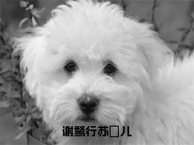 苏玥儿谢鹜行（谢鹜行苏玥儿）小说推荐精彩章节全文阅读-热门小说谢鹜行苏玥儿（苏玥儿谢鹜行）精选章节阅读