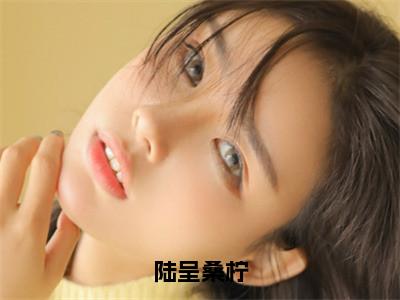 陆呈桑柠小说免费阅读全文小说桑柠陆呈全章节阅读