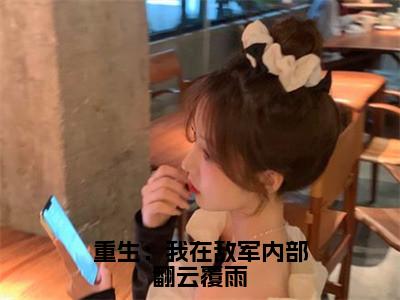 重生：我在敌军内部翻云覆雨（李伟）小说在线阅读_重生：我在敌军内部翻云覆雨全本免费小说阅读（李伟）