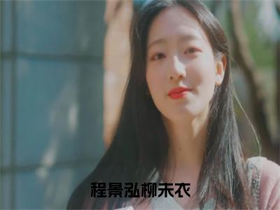 程景泓柳未衣（柳未衣程景泓）全文免费阅读无弹窗大结局_程景泓柳未衣小说（柳未衣程景泓）最新章节列表