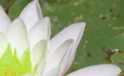 描写夏至的唯美句子(精选400句)