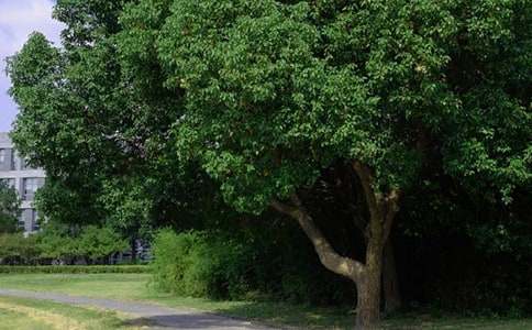 八月里唯美早安说说(精选200句)