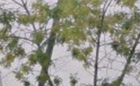 八月早安励志句子(精选200句)