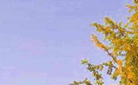 最新温馨早安说说大全(通用165句)