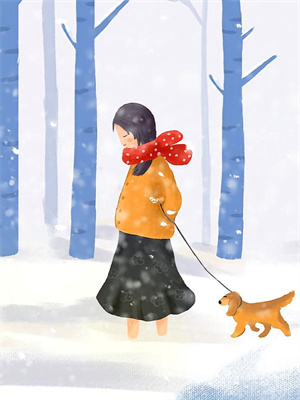 假死后,首辅夫人风光二嫁了免费阅读,假死后,首辅夫人风光二嫁了在线阅读