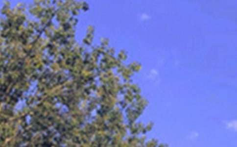 经典唯美午安文案大全80句