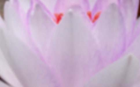 描写夏至古风唯美的句子（精选200句）