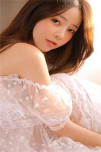 丐婿之重回巅峰的小说