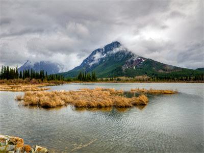 完结版小说（傅井鸣姜苑）-小说傅井鸣姜苑全文阅读