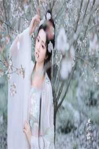 妃常当道:王爷请上门