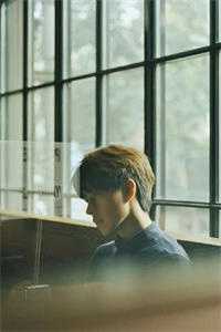 迷糊小妻乖乖入怀全文