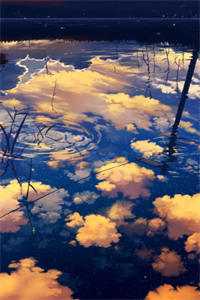 网游重生:我开局就无敌