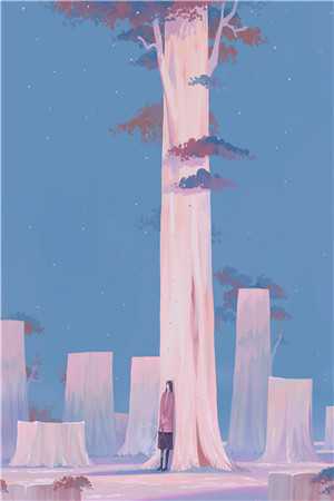 军婚甜蜜蜜:极品炮灰她在七零当娇娇小说