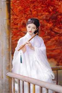 总裁,是你非要宠着夫人的!