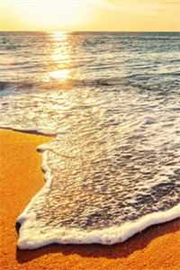 穿成豪门对照组的真千金