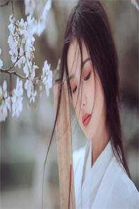 收录一群废妃犯妇,我不无敌行吗