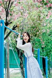 夫人快跑傅总后悔离婚了