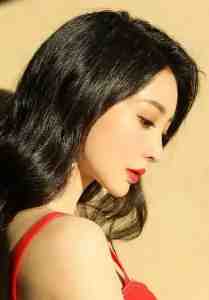 少爷的小丫鬟金榜题名了小说