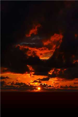 山村神医:我一心只求大道