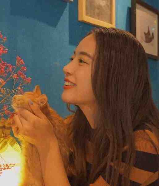 女神系统加身，攻略对象都是老阿姨？苏辰杨蜜