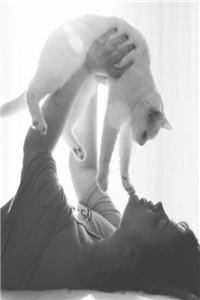 万域第一皇小说