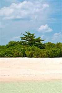 让你直播捡破烂,你去打扫战场?