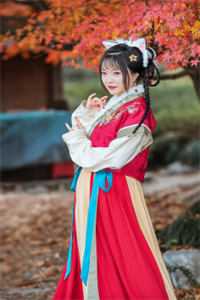 顾总他又又又想复婚了结局