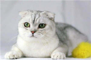 简明舒陆徜小说全文免费_（简明舒陆徜免费阅读无弹窗）最新章节目录笔趣阁（简明舒陆徜）