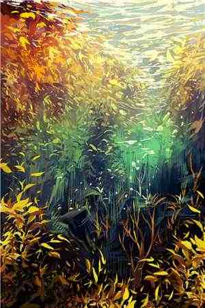 精选热门小说过分贪恋， 沈时砚沈鹿溪无广告免费阅读