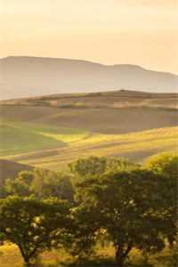 他清冷撩人，娇妻夜夜难眠