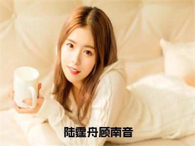 主角为陆霆舟顾南音的小说（陆霆舟顾南音）大结局免费阅读-陆霆舟顾南音全文免费阅读笔趣阁