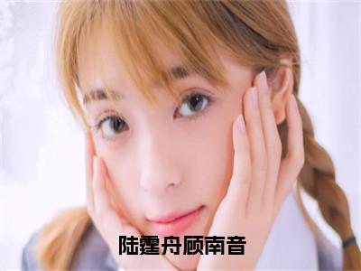 陆霆舟顾南音（陆霆舟顾南音）完整版小说阅读_陆霆舟顾南音全文免费阅读笔趣阁（陆霆舟顾南音）