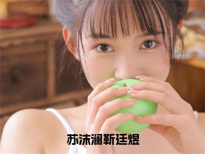 （苏沫澜靳廷煜）全文免费阅读-苏沫澜靳廷煜（靳廷煜苏沫澜）最新章节列表阅读