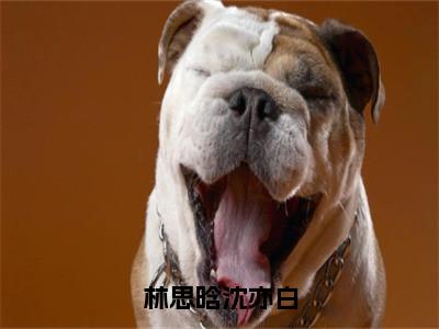 林思晗沈亦白热文小说全文阅读-精彩美文林思晗沈亦白免费阅读