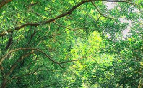 常见唯美早安朋友圈160句精选