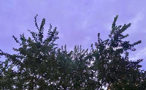 简单的优美的早安问候语语录44句