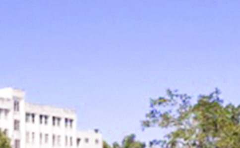 2024年治愈系早安问候语语录集锦66条