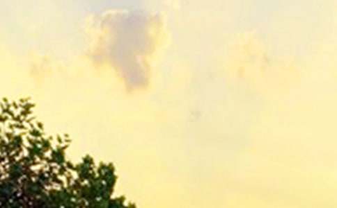 推荐唯美早安寄语汇总(精选150句)