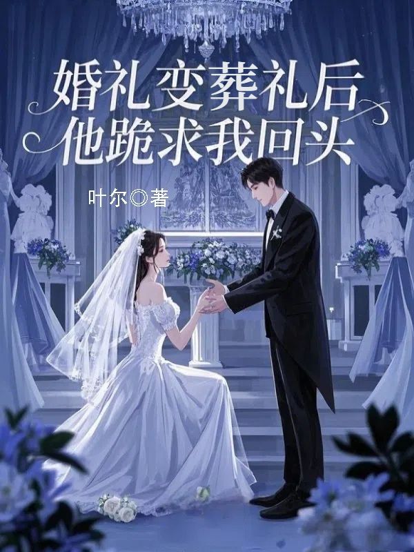 婚礼变葬礼后,他跪求我回头免费阅读(童念顾言聿)小说完结版