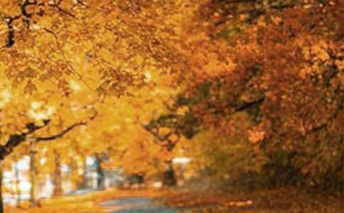 精选优美风景句子摘录90句