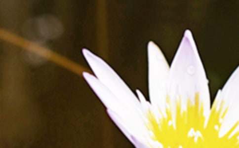 今日夏至经典句子（精选400句）