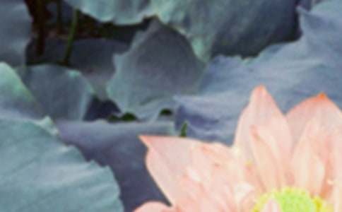 夏至祝福语简短8字(精选150句)