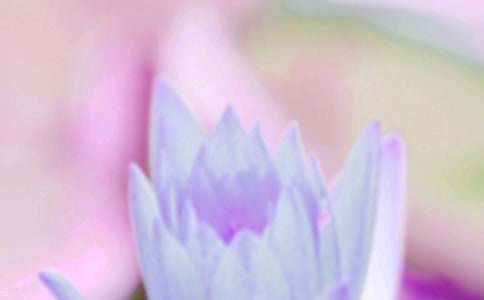 夏至祝福语朋友圈(精选500句)