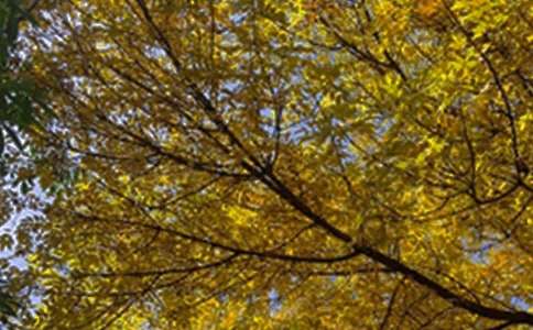 简短唯美早安文案大全（精选170句）